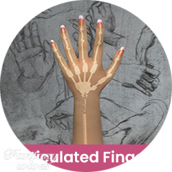 Articulated Fingers