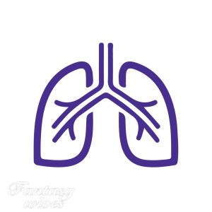 Breathing System (Orig. $549)