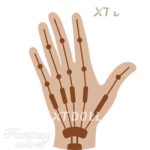 Articulated Fingers (FREE)