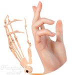 Finger Joints