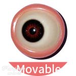 Full Movable Eye