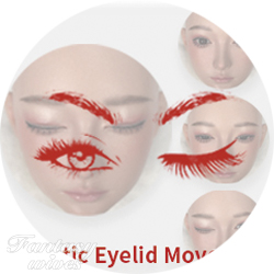 Realistic Eyelid Movement