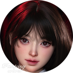 #038S FSD010