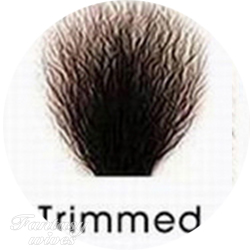 Trimmed