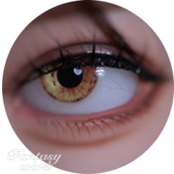 Eye #11