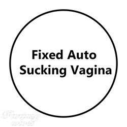 Fixed Auto Sucking Vagina